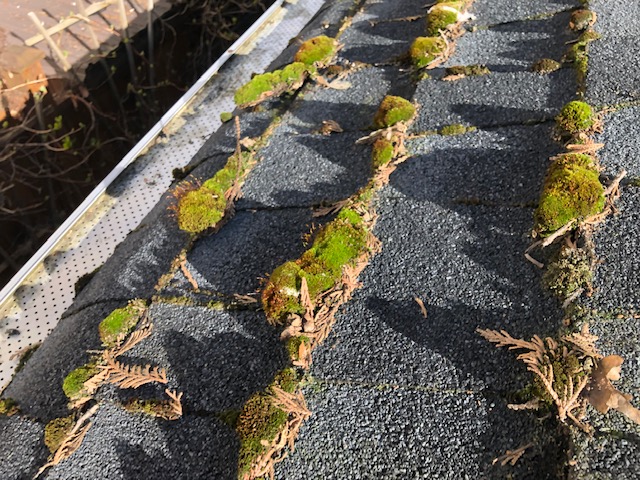 Pressure Washing Service North Vancouvers