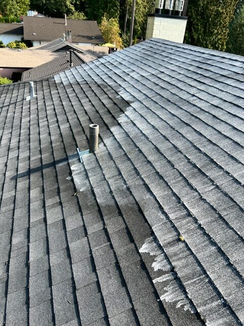 Pressure Washing Service North Vancouvers